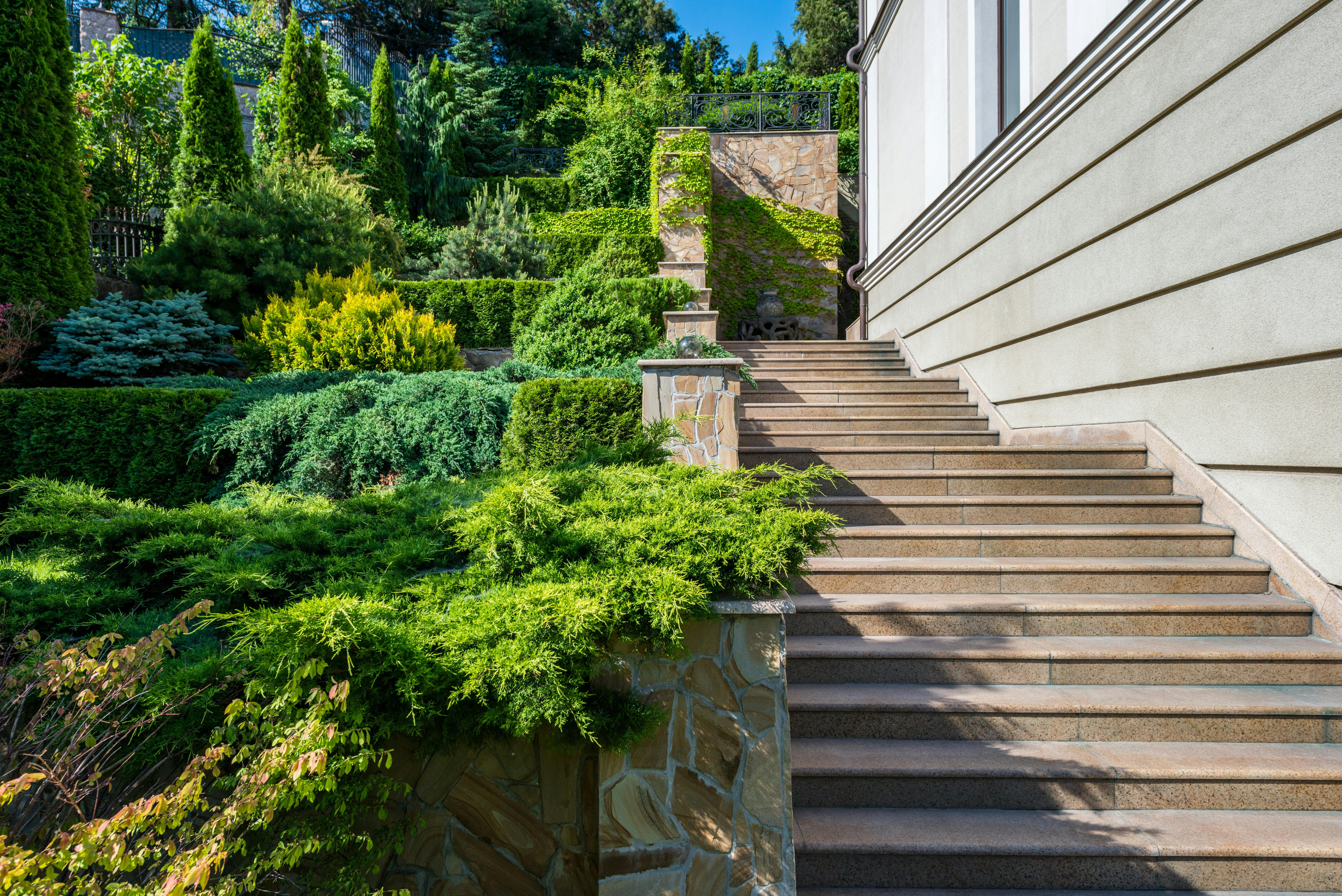 Professional landscape design with detailed garden plans