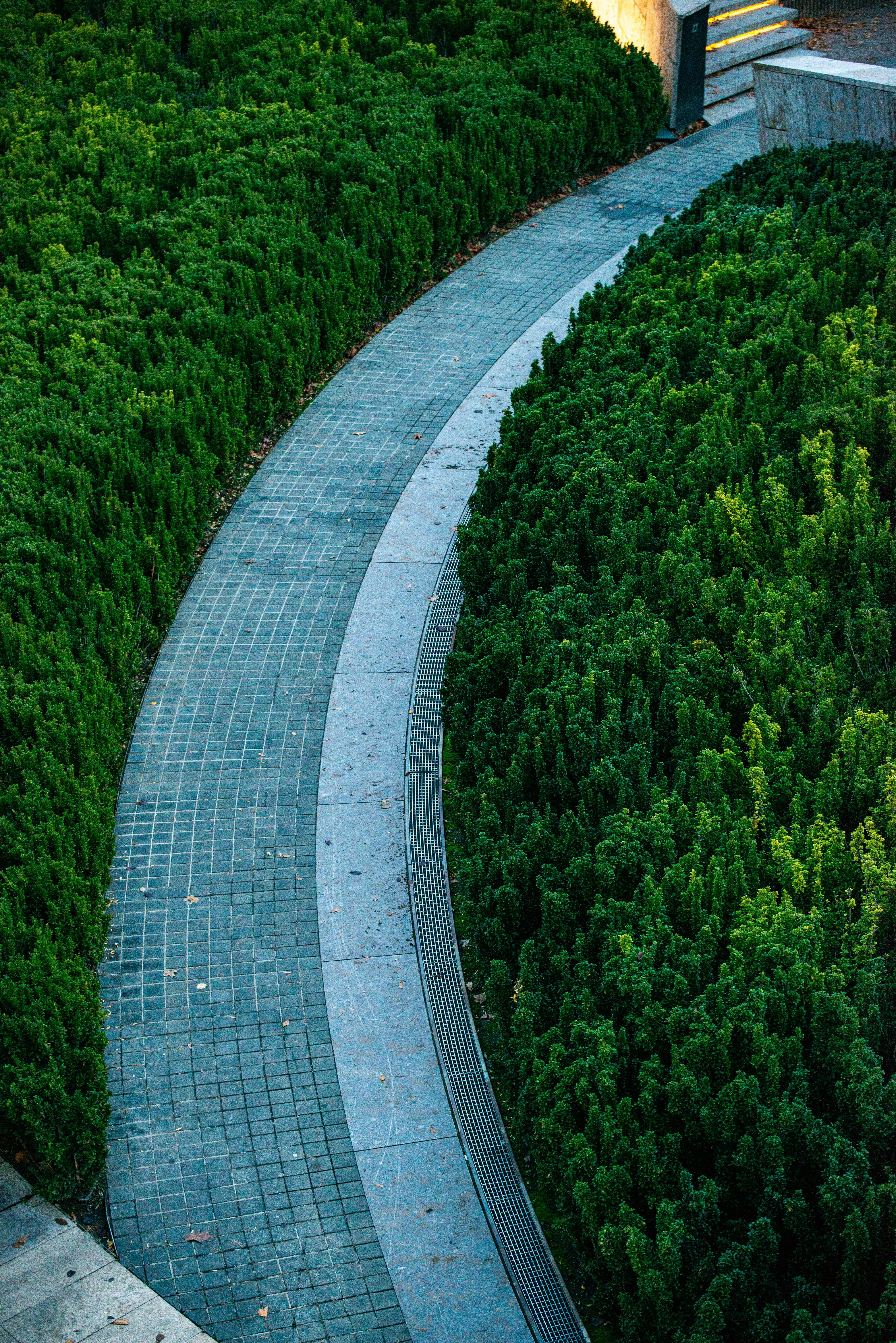 Expert stonework and hardscaping installation