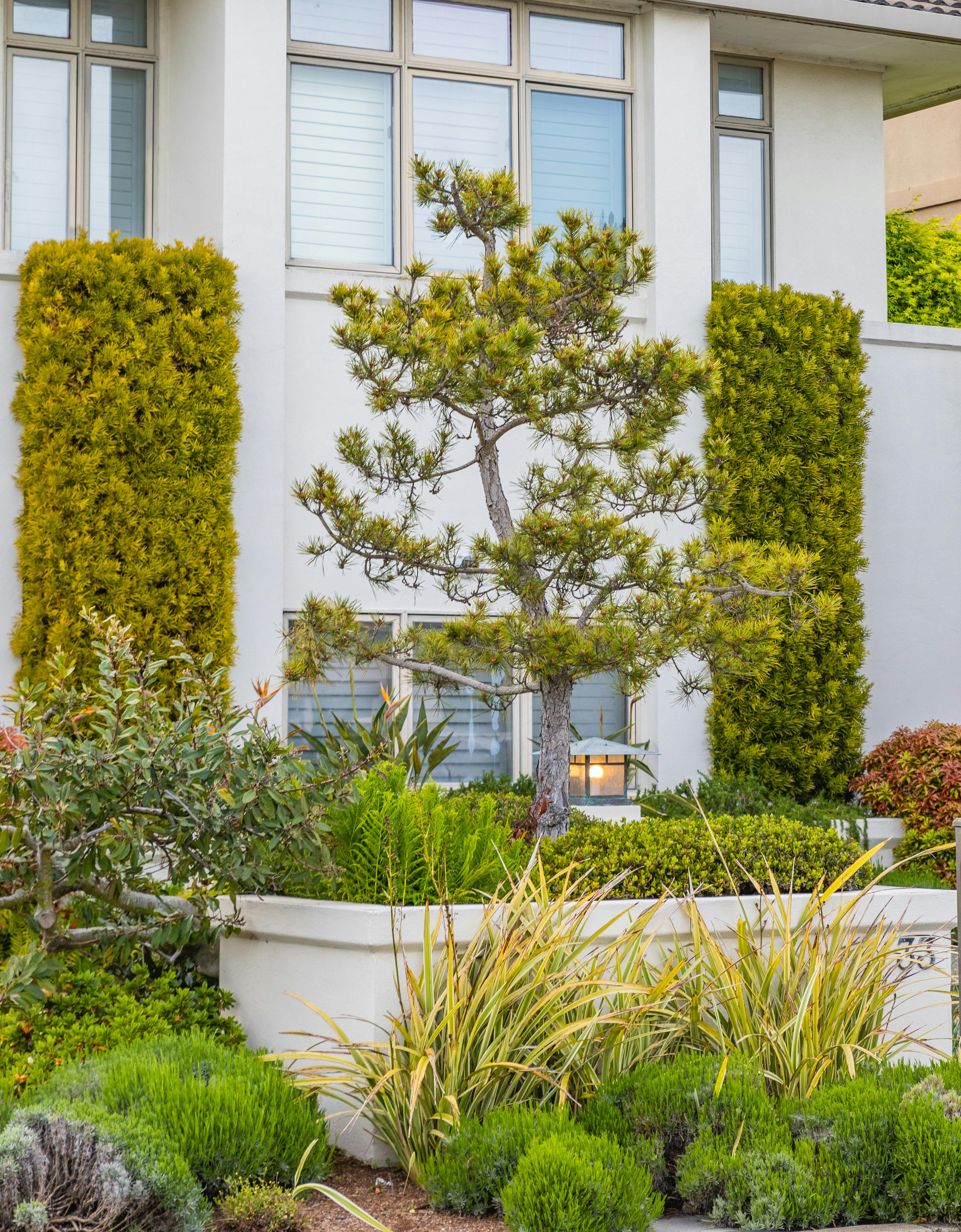 Beautiful landscaped outdoor space with professional design