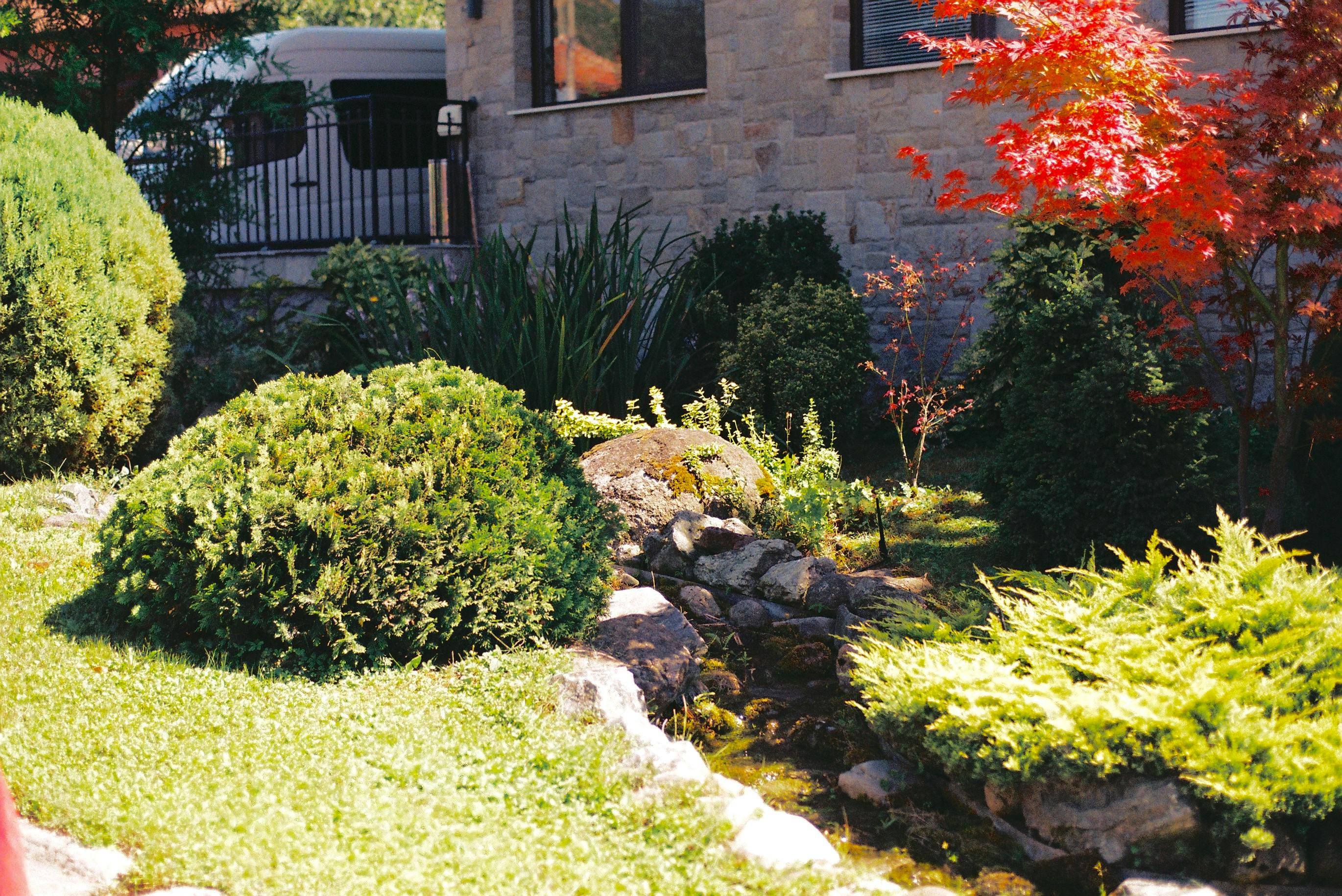 Professional landscape maintenance services